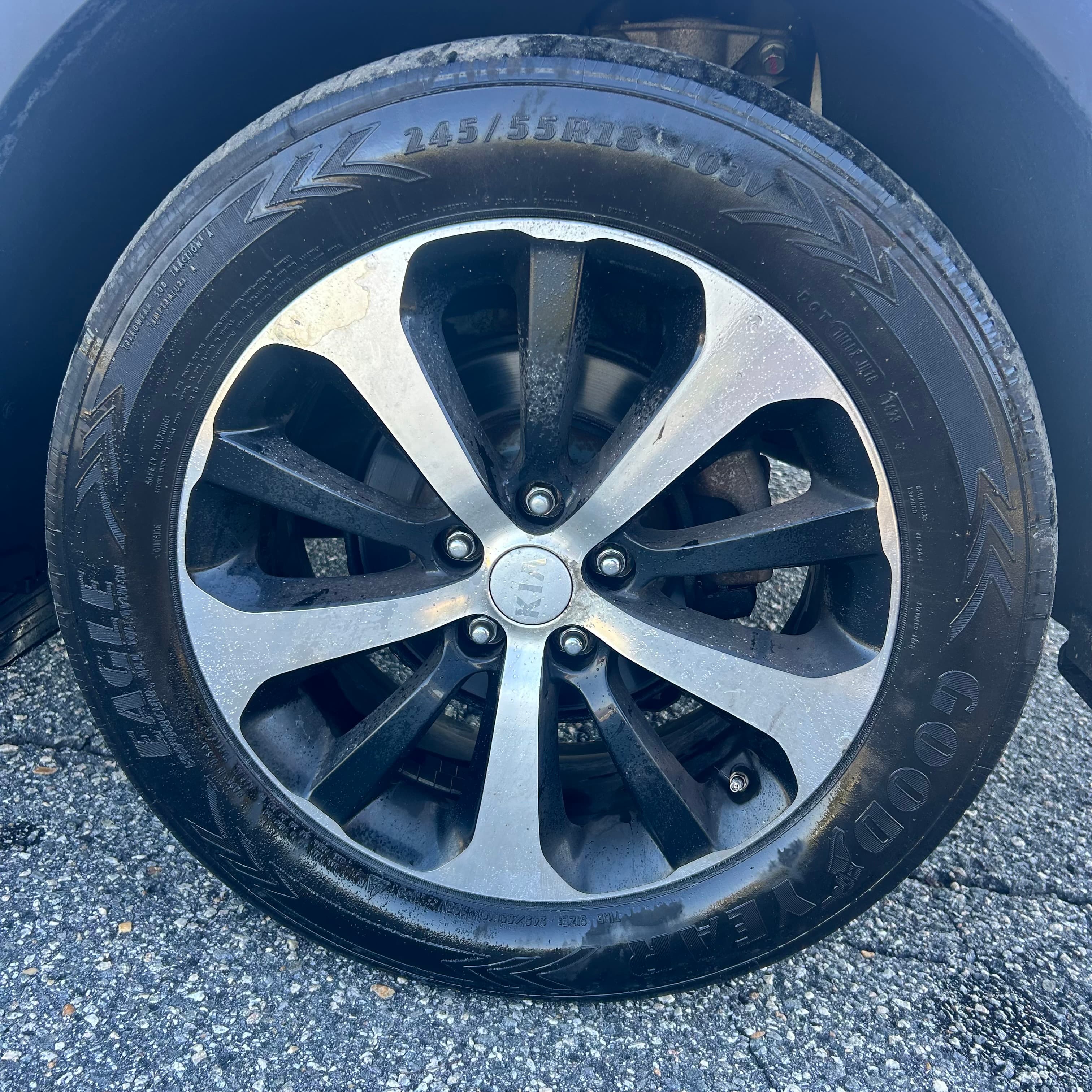 2017 Kia Sorento photo 10